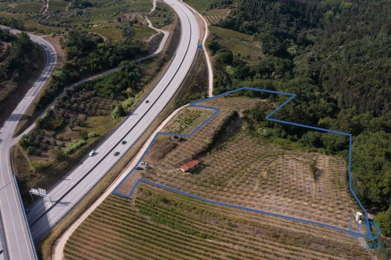 Terreno para Venda em Lamas Foto 2
