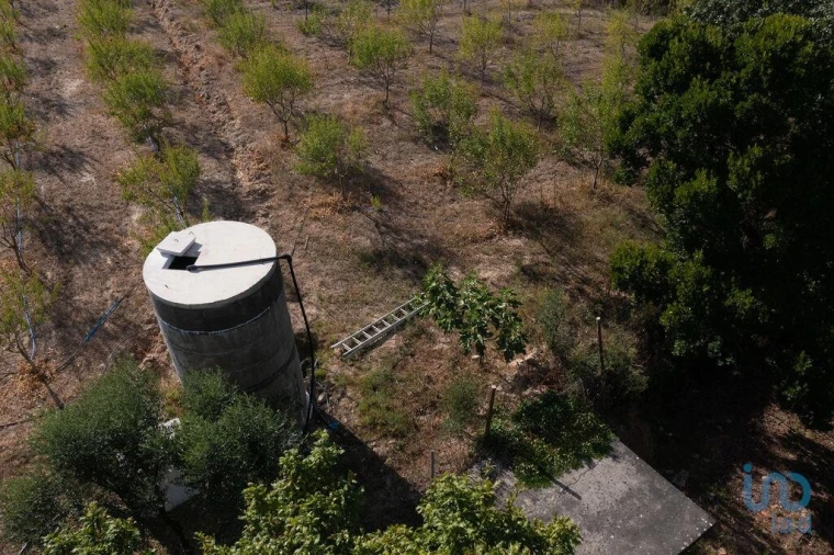 Terreno para Venda em Lamas Foto 4
