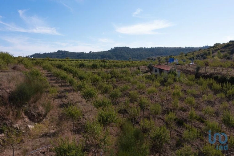 Terreno para Venda em Lamas
