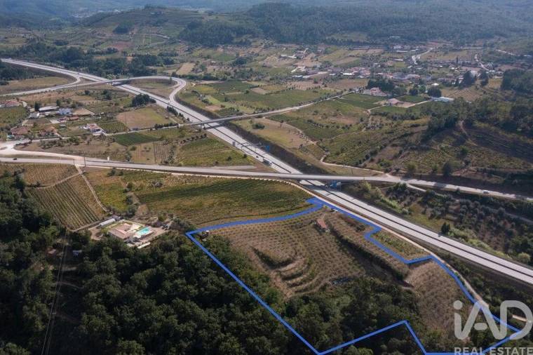 Terreno para Venda em Lamas Foto 28