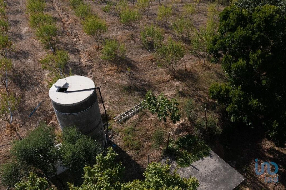 Terreno para Venda em Lamas Foto 4