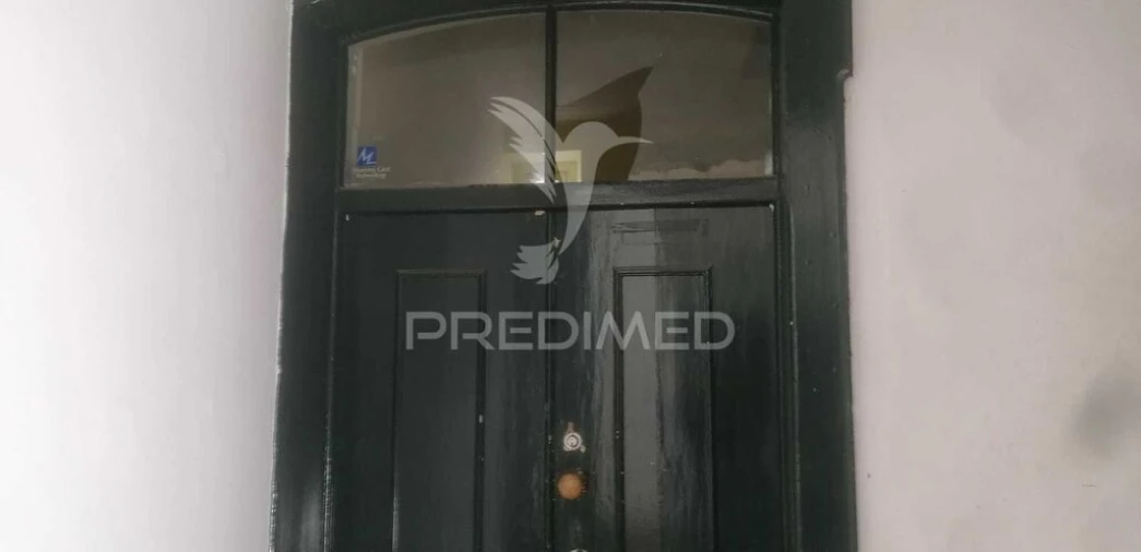 Escritório para Venda em São João Baptista Foto 3