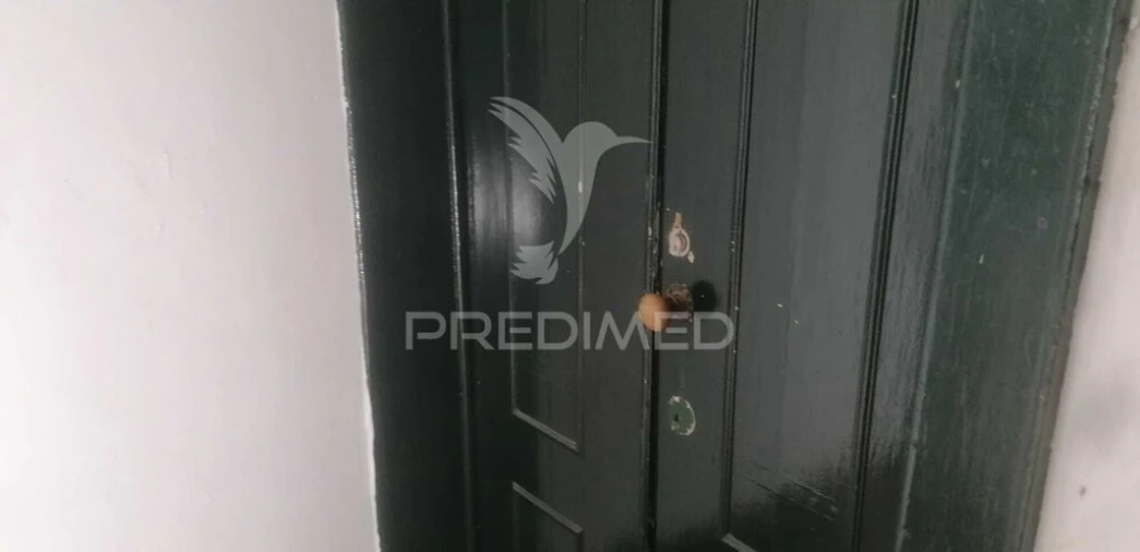 Escritório para Venda em São João Baptista Foto 2