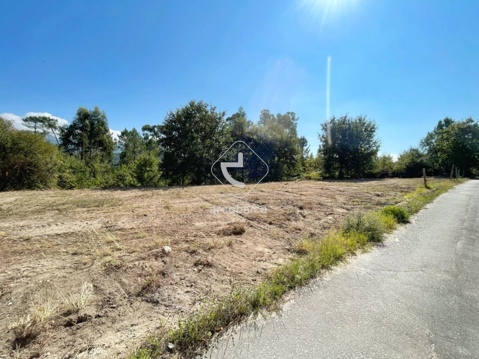 Terreno para Venda em Aguiã Foto 3