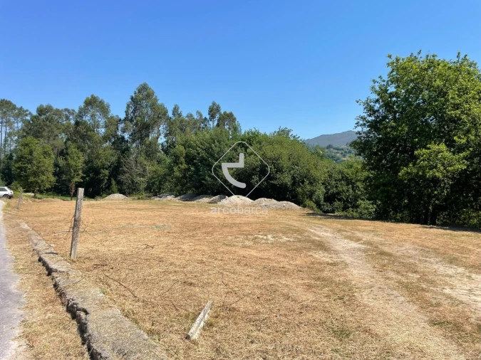 Terreno para Venda em Aguiã Foto 13