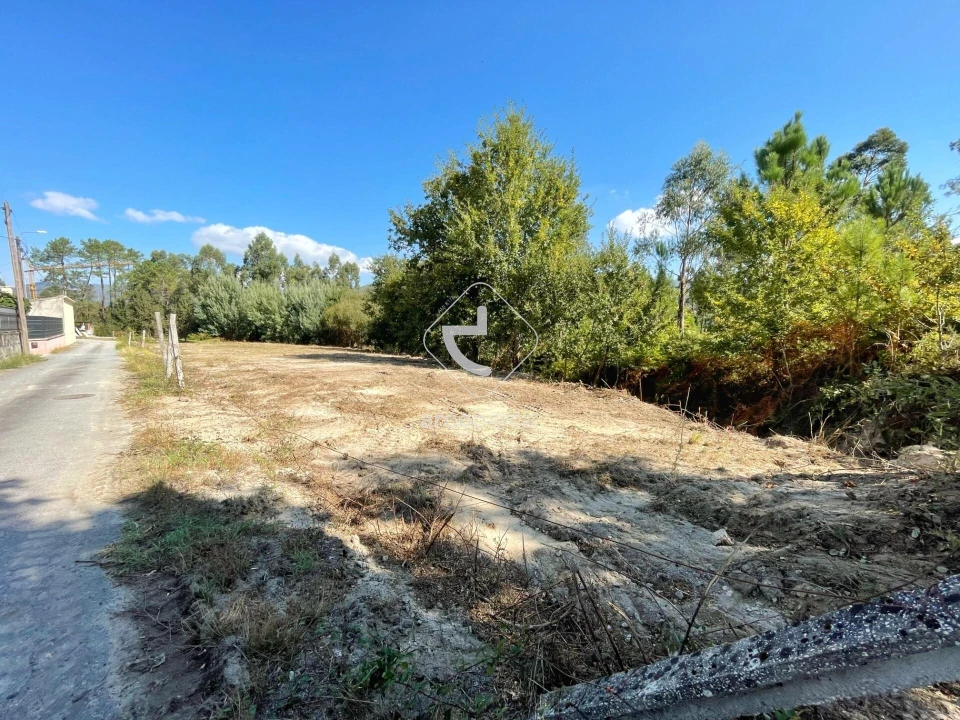 Terreno para Venda em Aguiã Foto 5