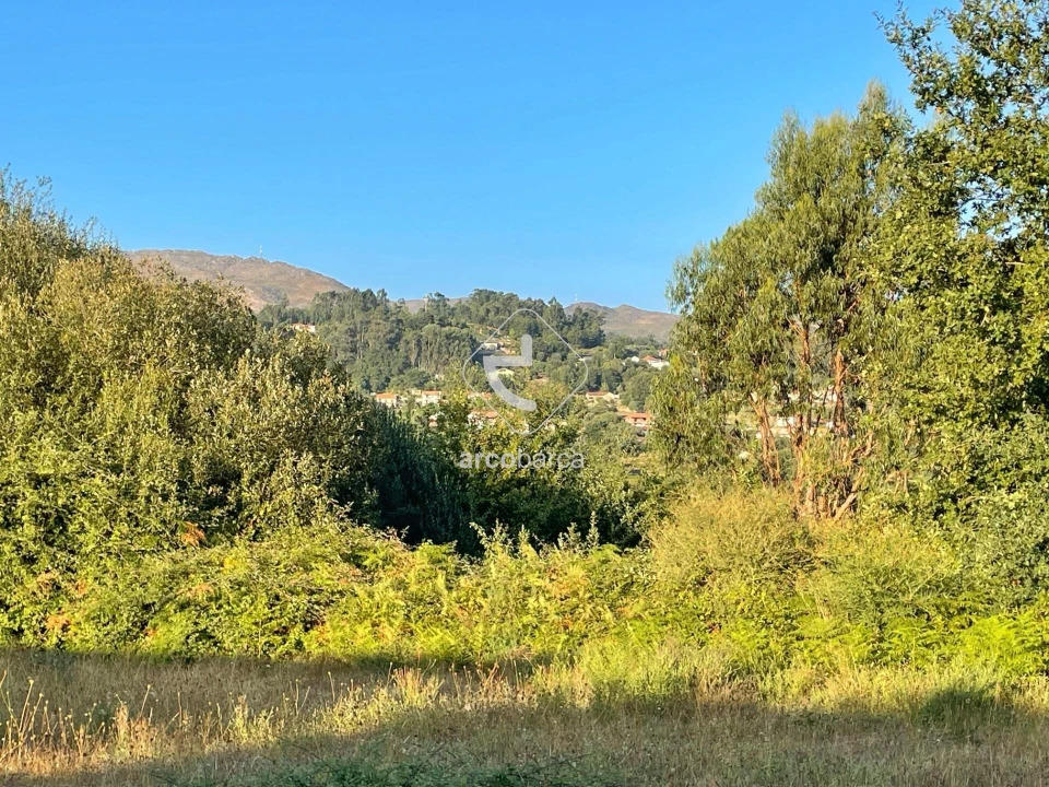 Terreno para Venda em Aguiã Foto 11