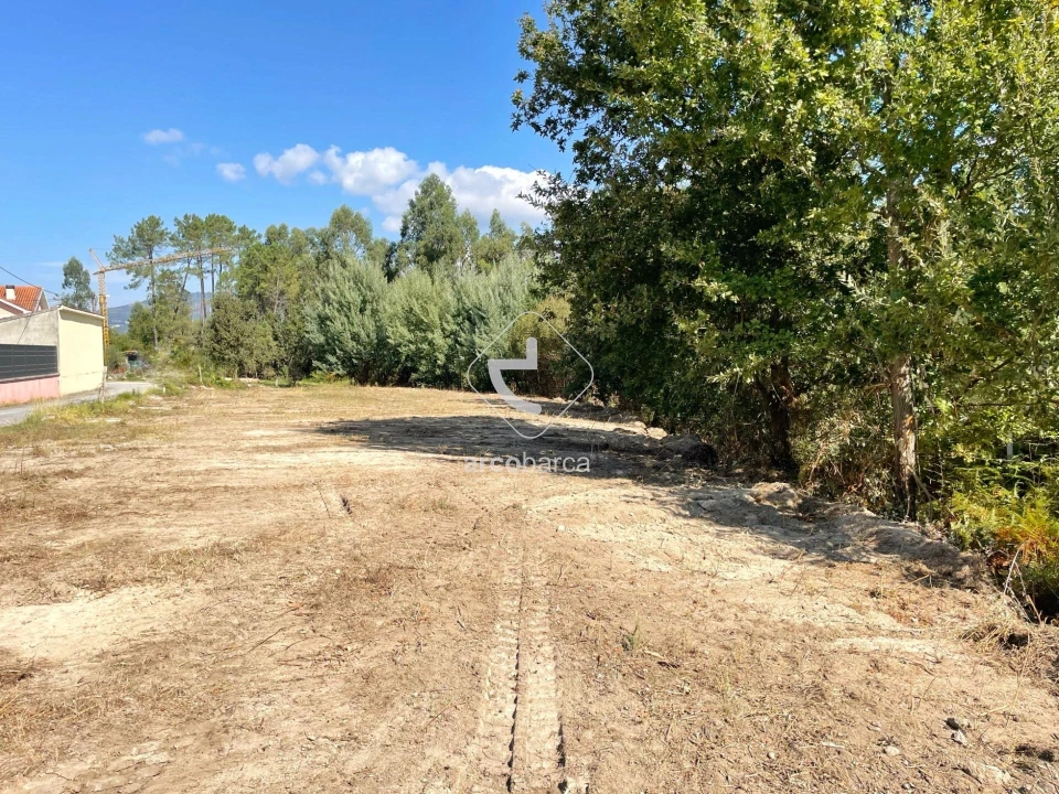 Terreno para Venda em Aguiã Foto 6