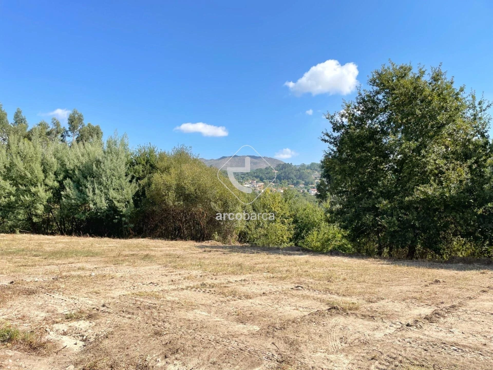 Terreno para Venda em Aguiã Foto 7