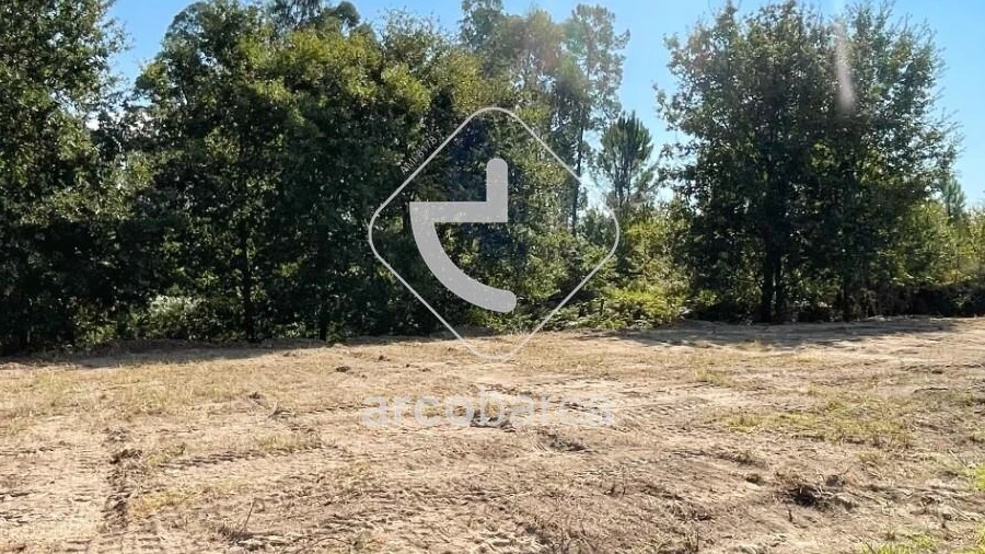 Terreno para Venda em Aguiã