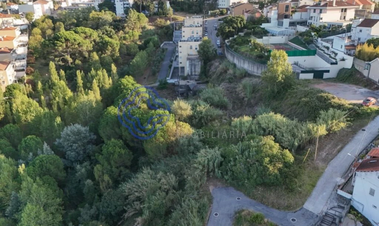 Terreno para Venda em Santo Antonio dos Olivais Foto 4