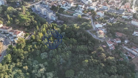 Terreno para Venda em Santo Antonio dos Olivais