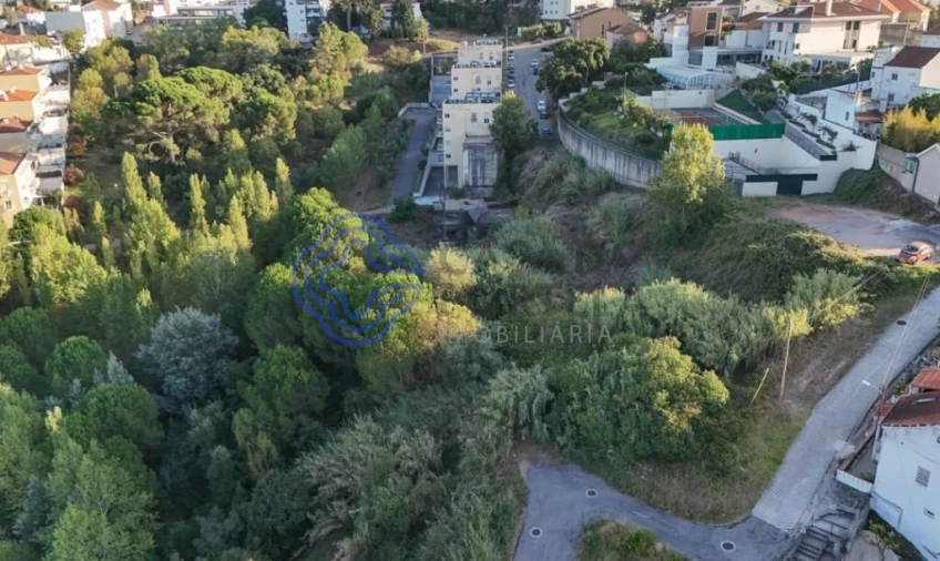 Terreno para Venda em Santo Antonio dos Olivais Foto 4