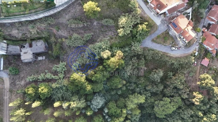 Terreno para Venda em Santo Antonio dos Olivais Foto 9