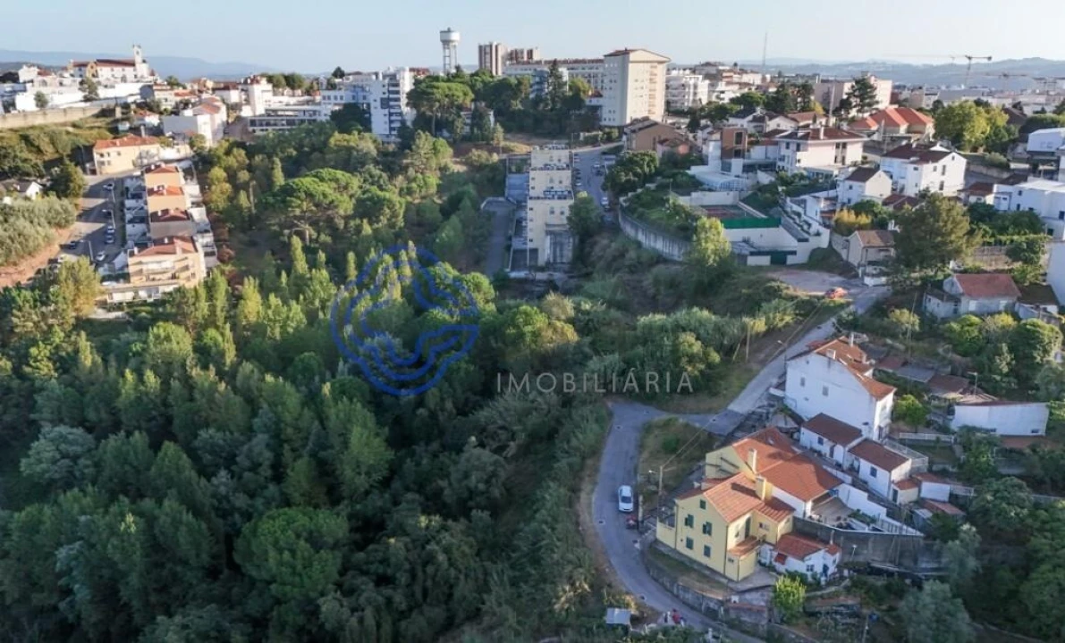 Terreno para Venda em Santo Antonio dos Olivais Foto 3