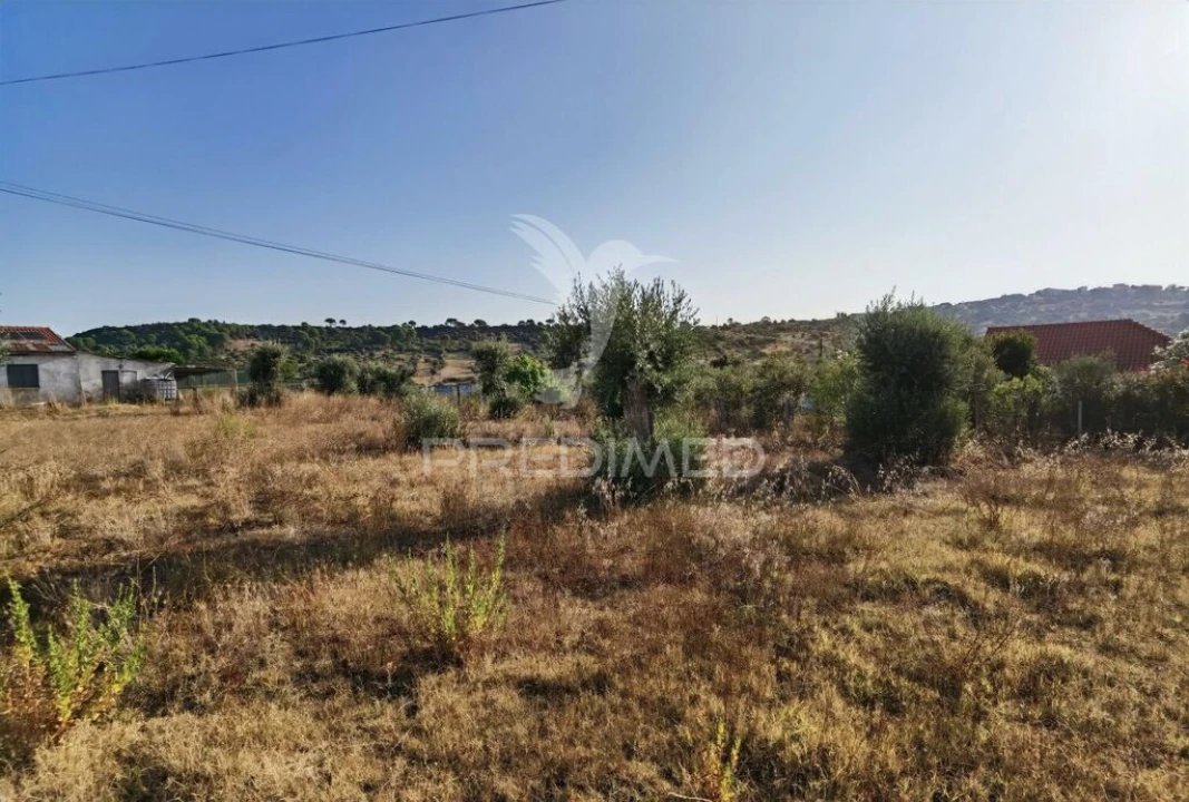 Terreno para Venda em Arneiro das Milhariças Foto 14