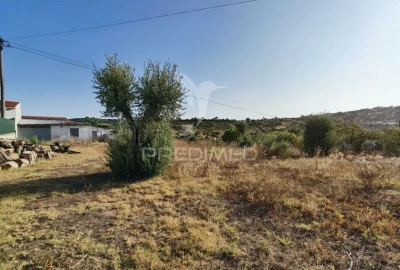 Terreno para Venda em Arneiro das Milhariças
