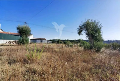Terreno para Venda em Arneiro das Milhariças