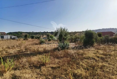 Terreno para Venda em Arneiro das Milhariças