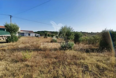 Terreno para Venda em Arneiro das Milhariças