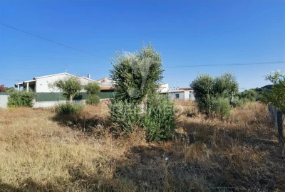 Terreno para Venda em Arneiro das Milhariças