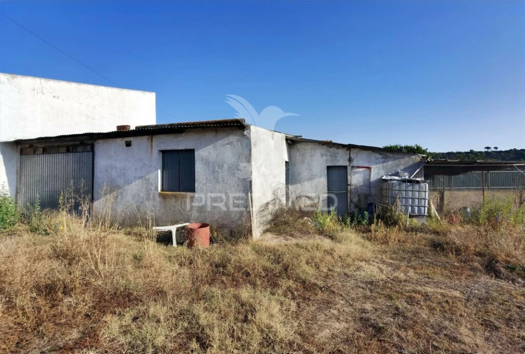 Terreno para Venda em Arneiro das Milhariças Foto 1