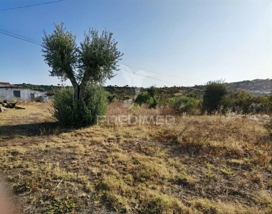 Terreno para Venda em Arneiro das Milhariças Foto 11
