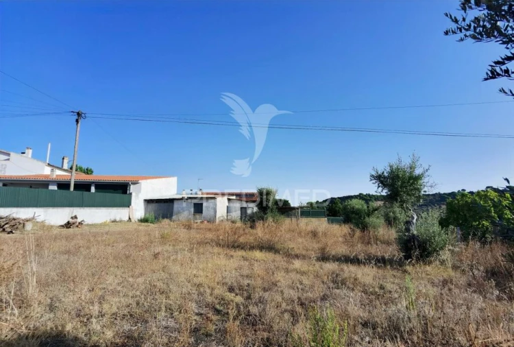 Terreno para Venda em Arneiro das Milhariças Foto 17
