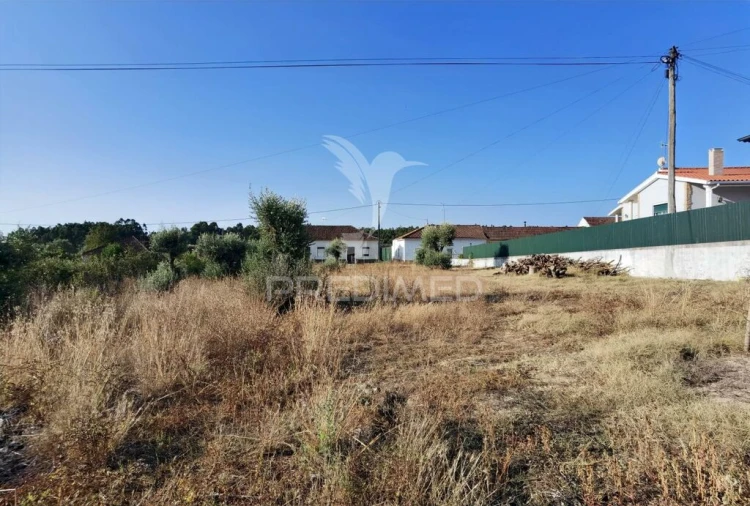 Terreno para Venda em Arneiro das Milhariças Foto 8