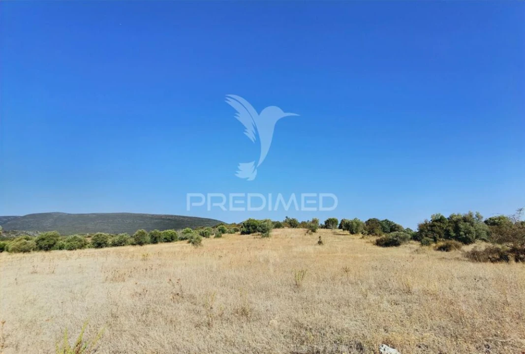 Terreno para Venda em Pedrogão Foto 17