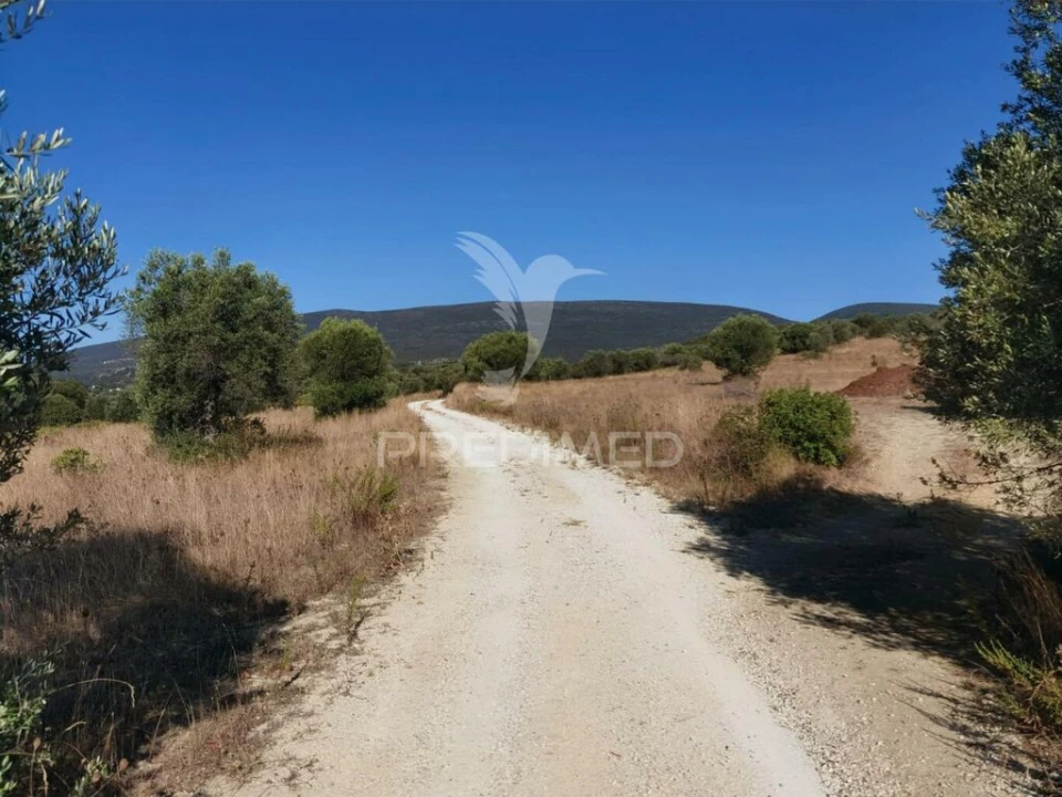 Terreno para Venda em Pedrogão Foto 19