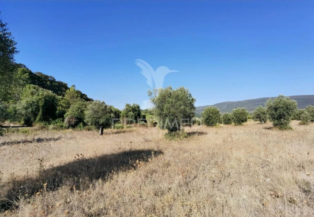 Terreno para Venda em Pedrogão Foto 3