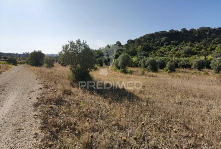 Terreno para Venda em Pedrogão Foto 16
