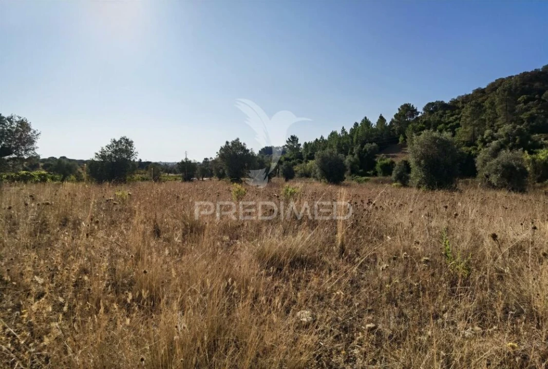 Terreno para Venda em Pedrogão Foto 8