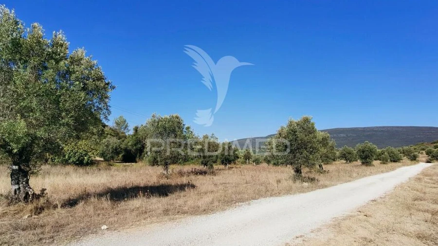 Terreno para Venda em Pedrogão