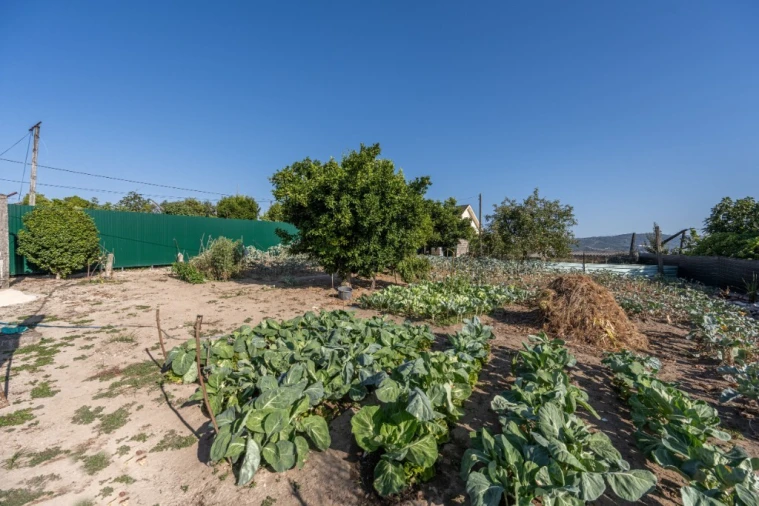 Moradia T6 para Venda em Ferreiros, Prozelo e Besteiros Foto 12