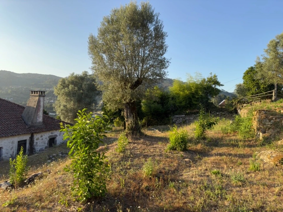 Quinta T2 para Venda em Vale Foto 16