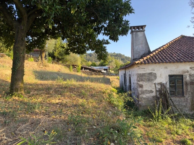 Quinta T2 para Venda em Vale Foto 4