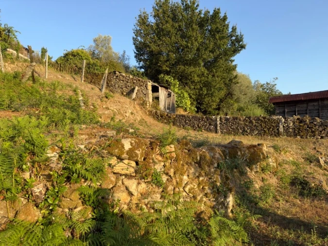 Quinta T2 para Venda em Vale Foto 19