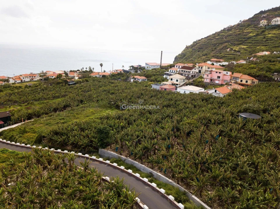 Terreno para Venda em Arco da Calheta Foto 4