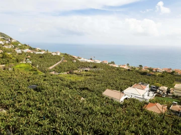 Terreno para Venda em Arco da Calheta