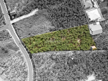 Terreno para Venda em Arco da Calheta