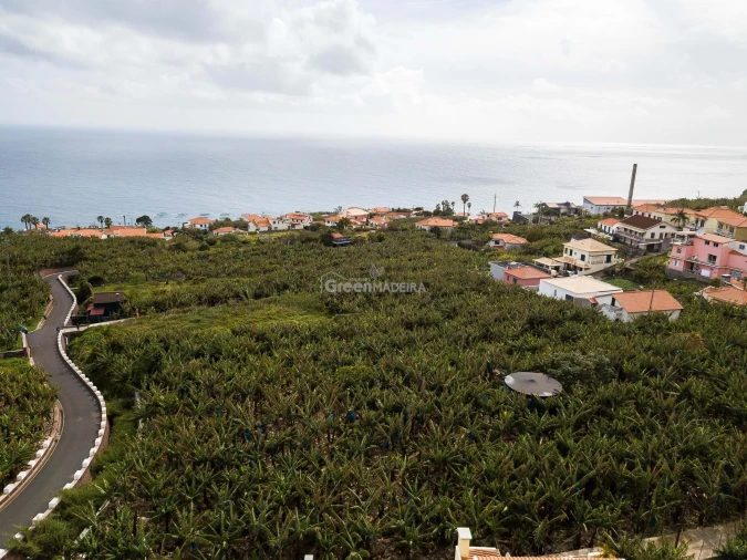 Terreno para Venda em Arco da Calheta Foto 5
