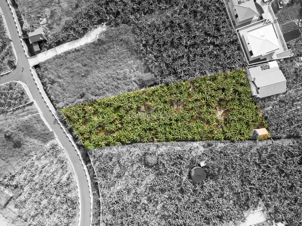 Terreno para Venda em Arco da Calheta Foto 1
