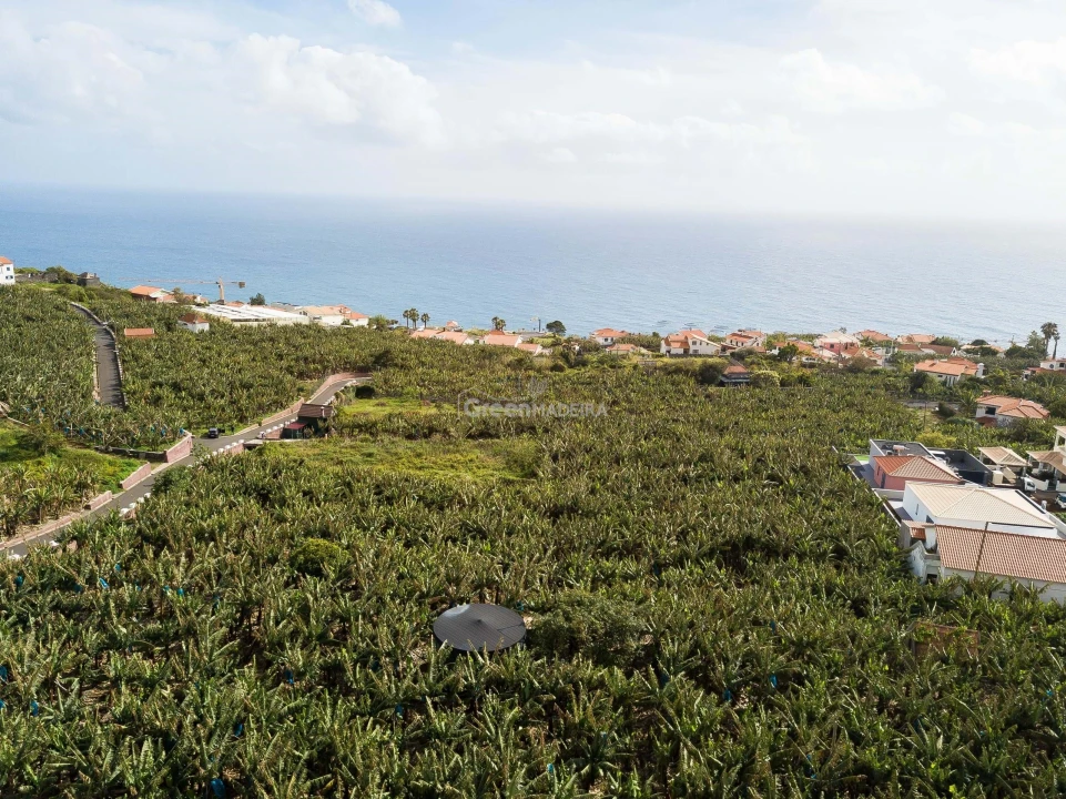 Terreno para Venda em Arco da Calheta Foto 3