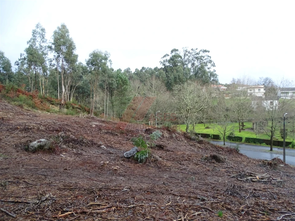 Terreno para Venda em Estorãos Foto 5