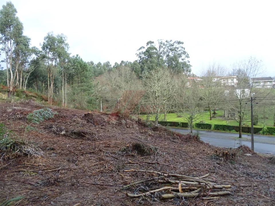Terreno para Venda em Estorãos Foto 3