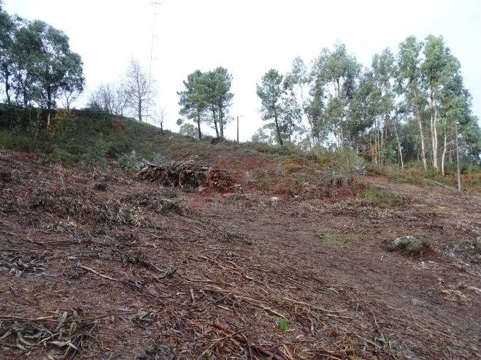 Terreno para Venda em Estorãos Foto 4