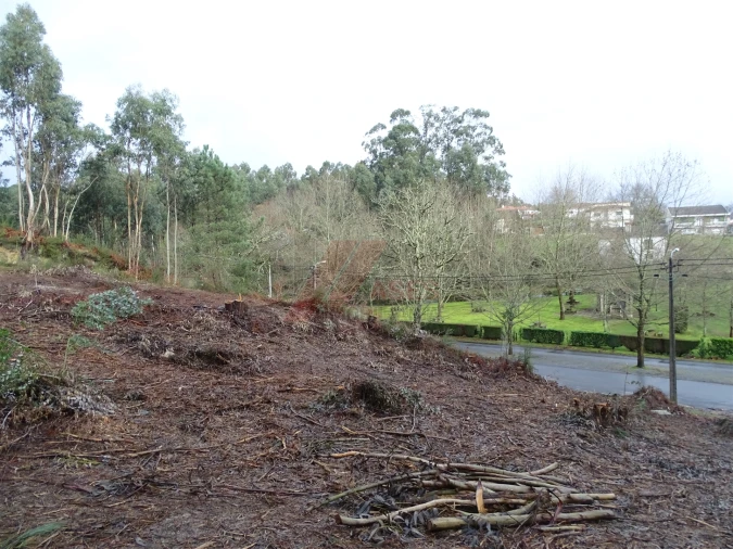 Terreno para Venda em Estorãos Foto 3
