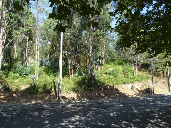 Terreno para Venda em Estorãos Foto 10